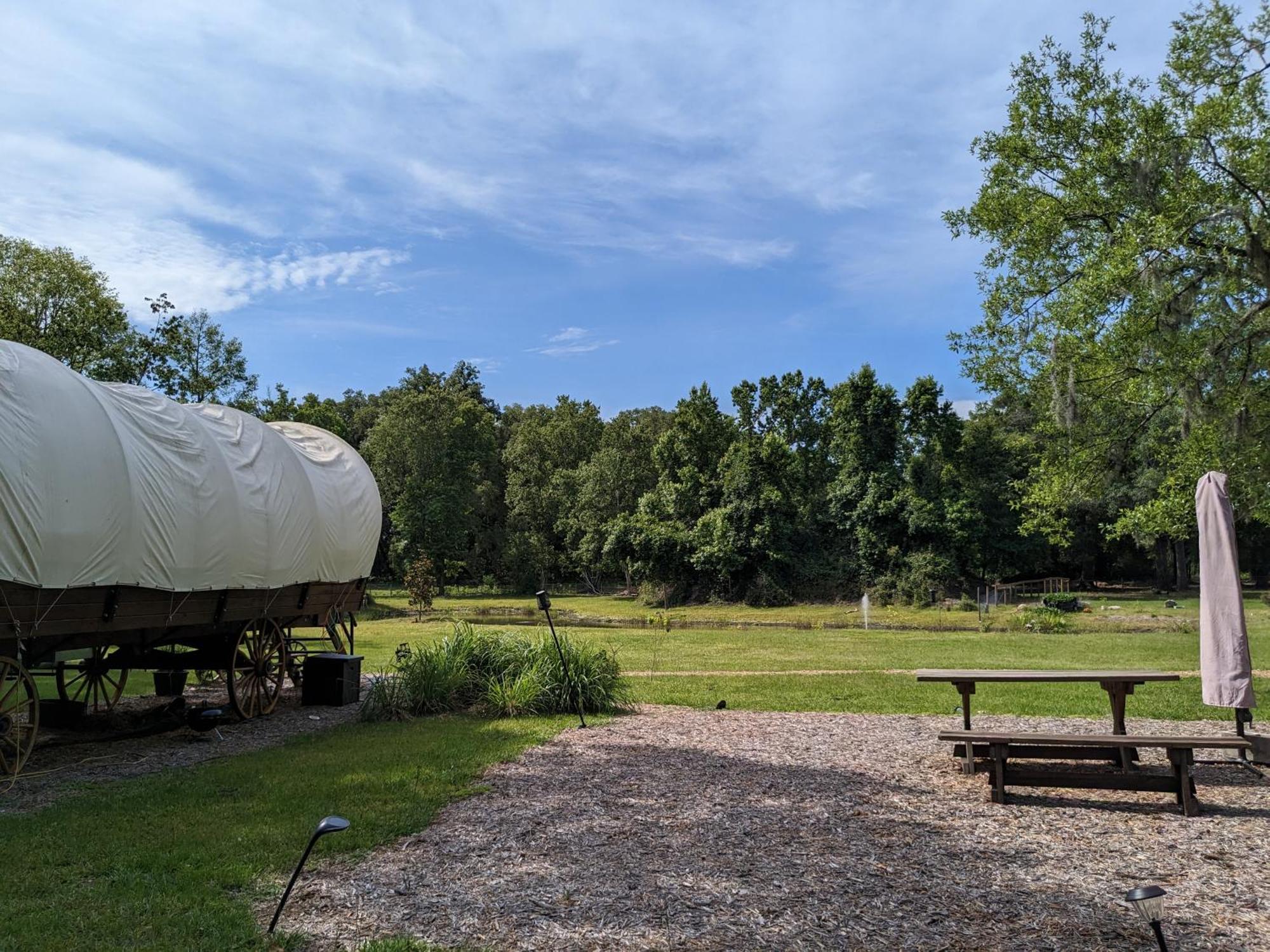 Rooterville Animal Sanctuary Melrose 외부 사진