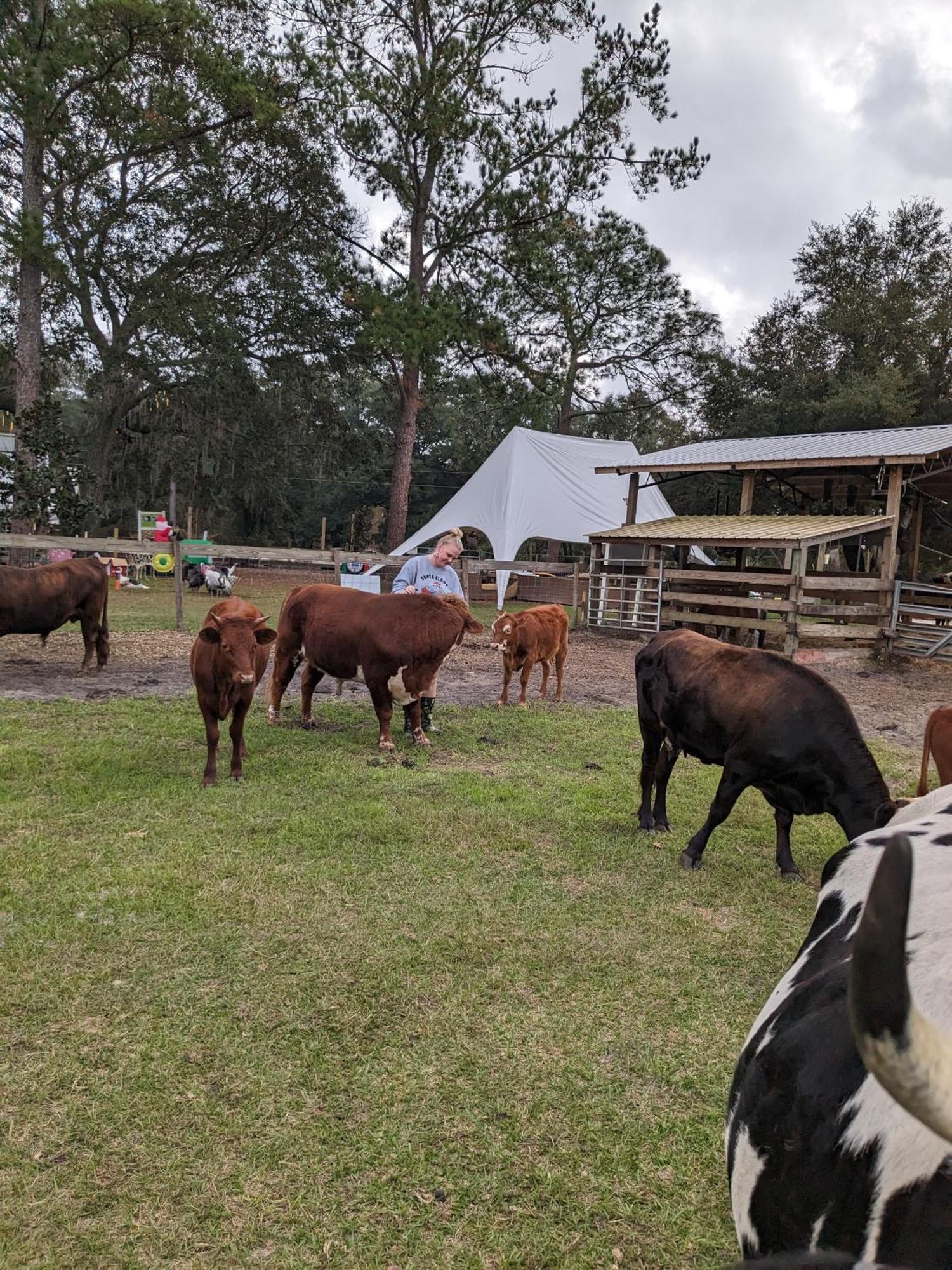 Rooterville Animal Sanctuary Melrose 외부 사진