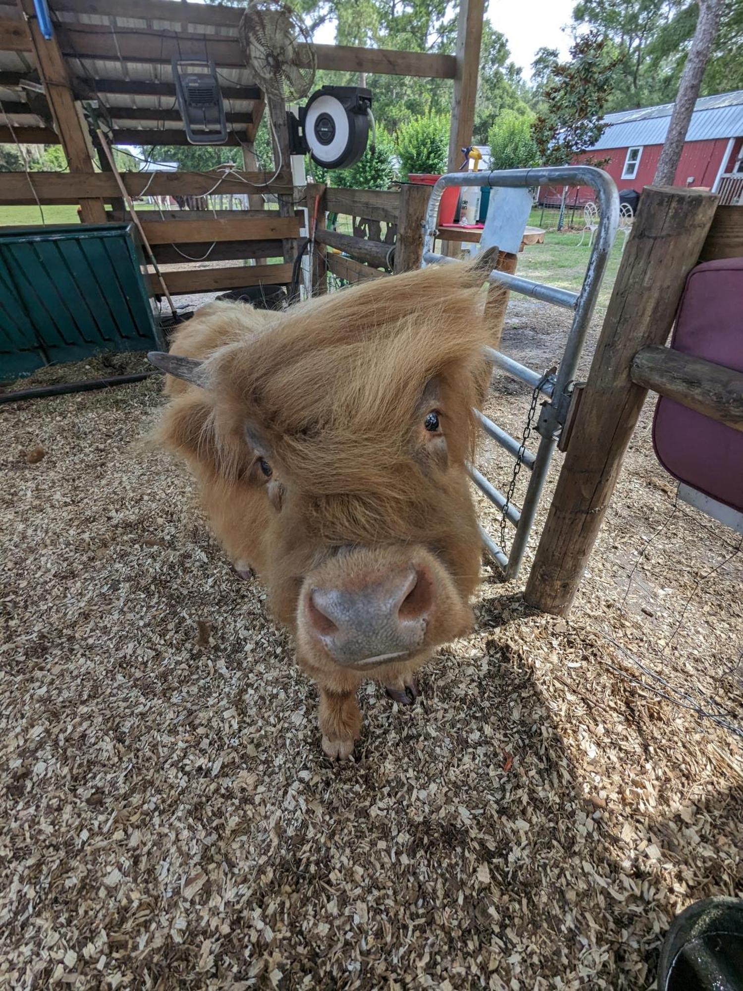 Rooterville Animal Sanctuary Melrose 외부 사진